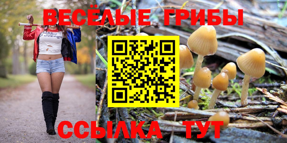 Галлюциногенные грибы MAGIC MUSHROOMS Звенигород